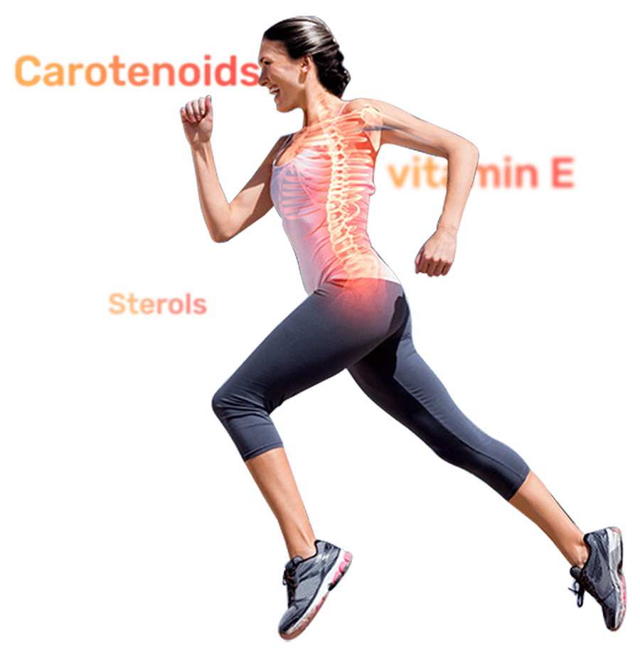 Nutrition Benefits Of VVS Sesame Oil